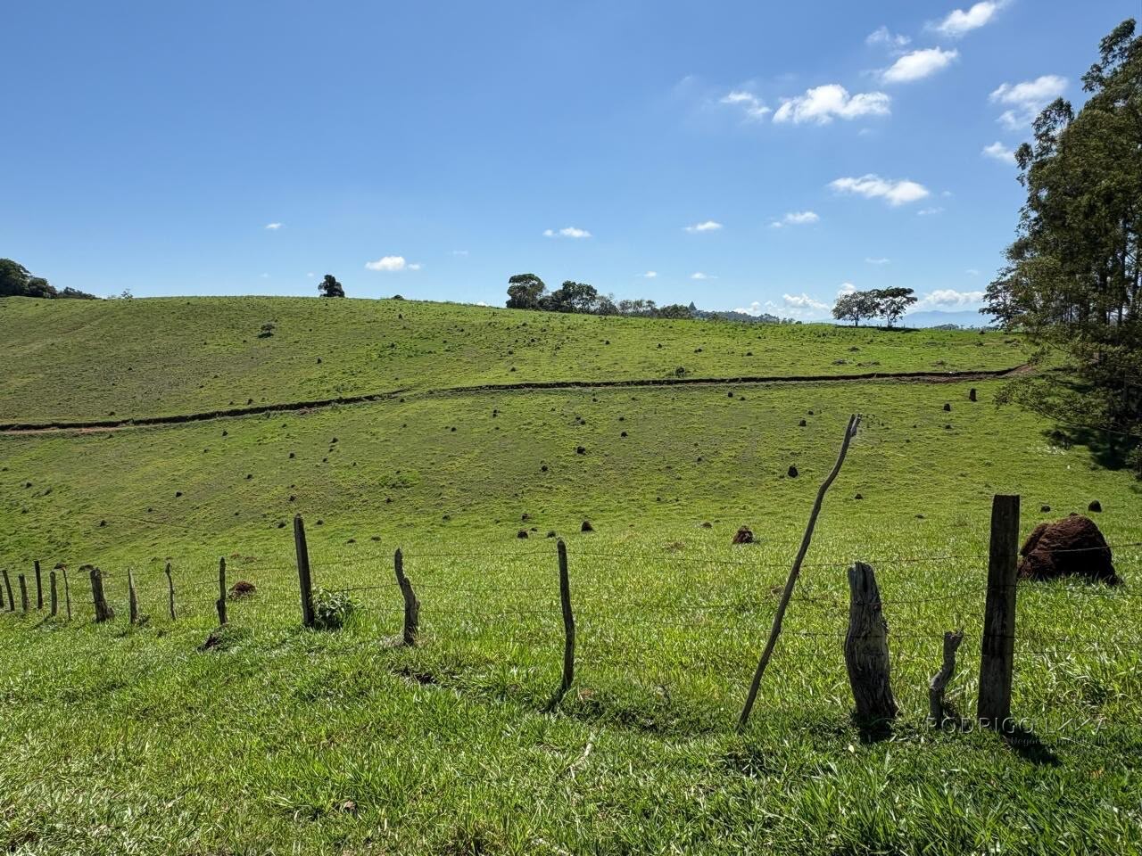 Terreno Rural para venda em Dom Viçoso MG