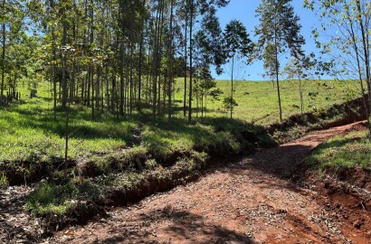 Terreno Rural para venda em Dom Viçoso MG