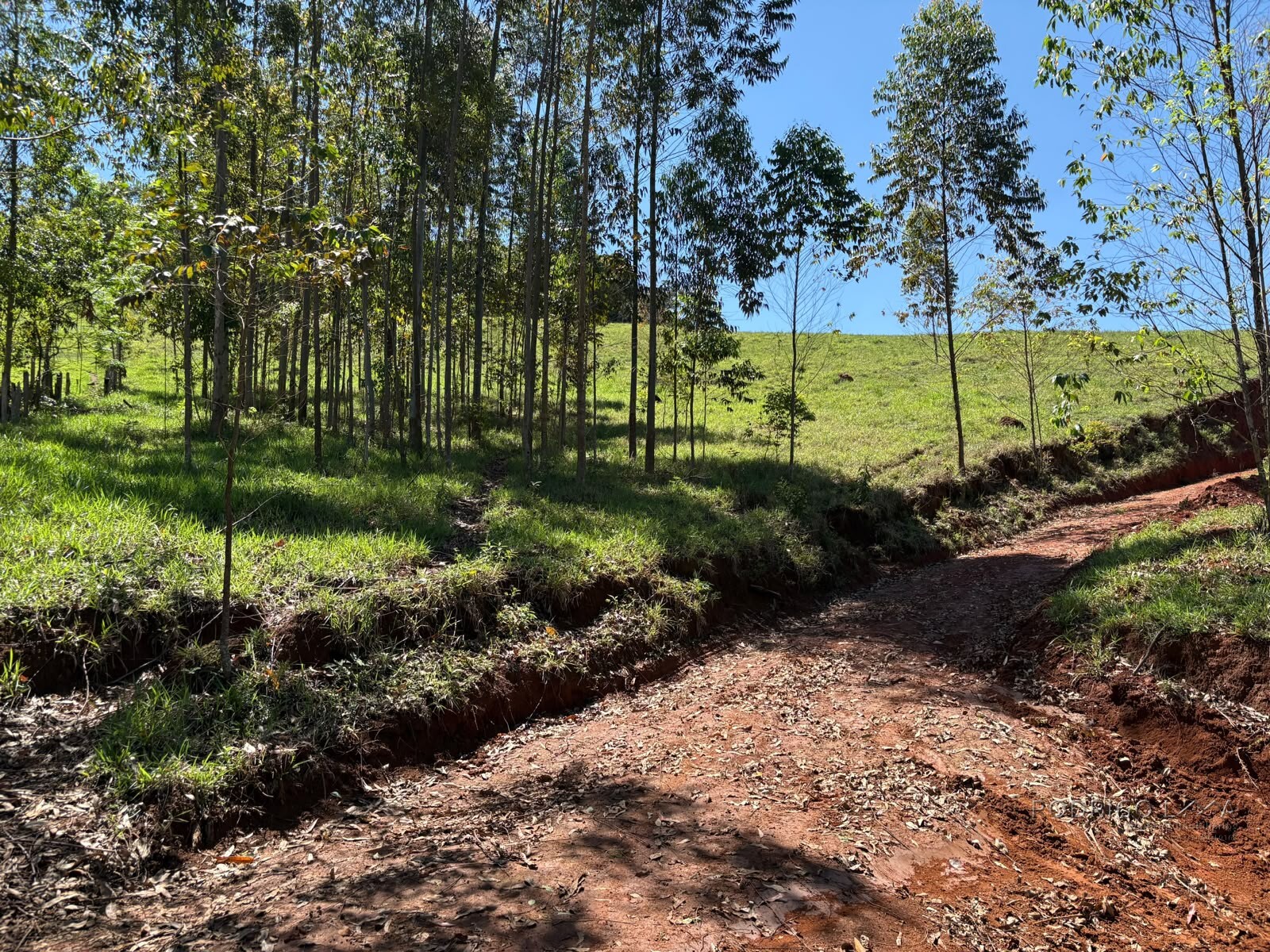 Terreno Rural para venda em Dom Viçoso MG