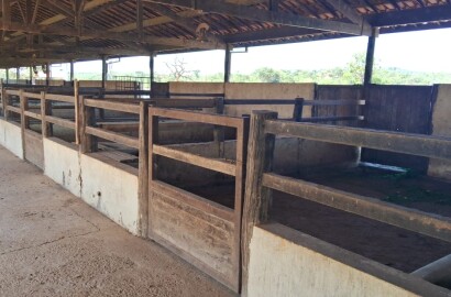 Fazenda para venda em Curvelo Mg