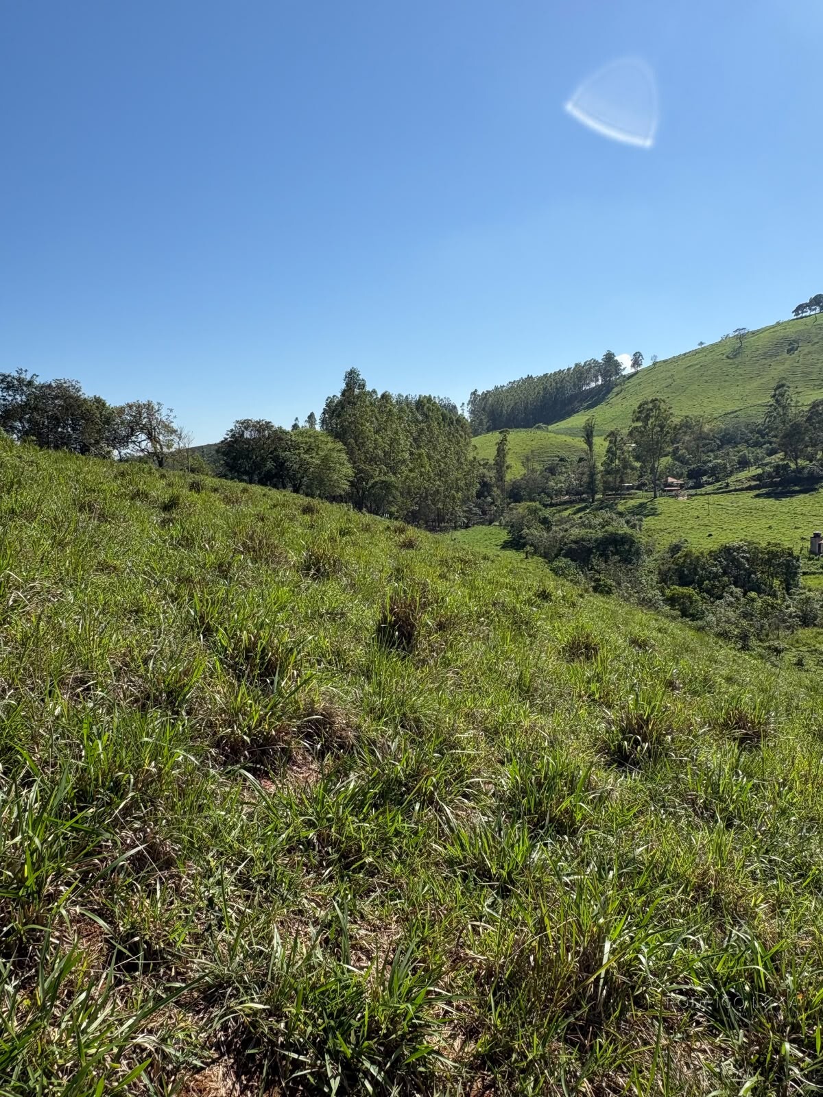Terreno rural para venda em Dom Viçoso MG