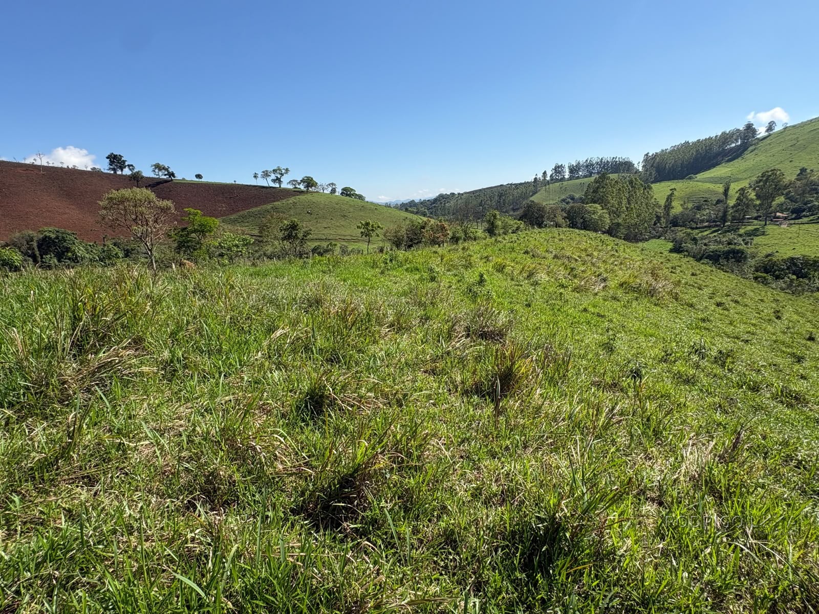 Terreno rural para venda em Dom Viçoso MG