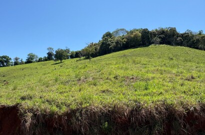 Terreno Rural para venda em Dom Viçoso MG