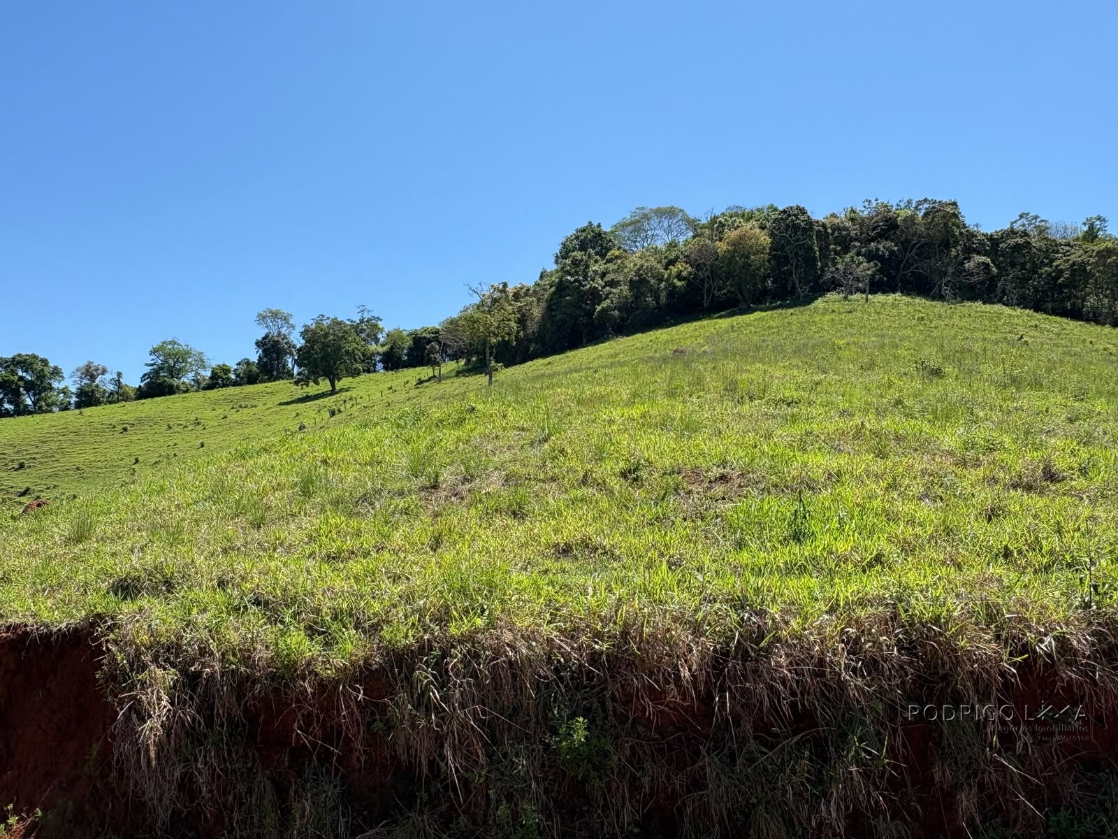 Terreno Rural para venda em Dom Viçoso MG