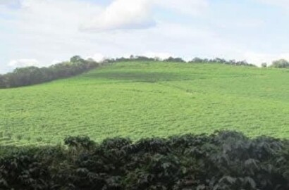 Linda fazenda para venda em Bom Sucesso MG.