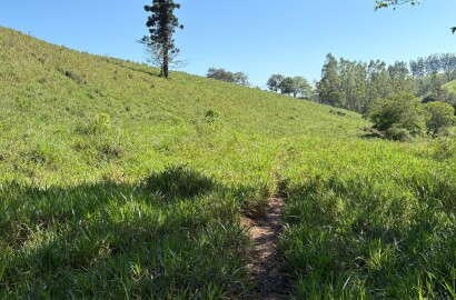Terreno rural para venda em Dom Viçoso MG