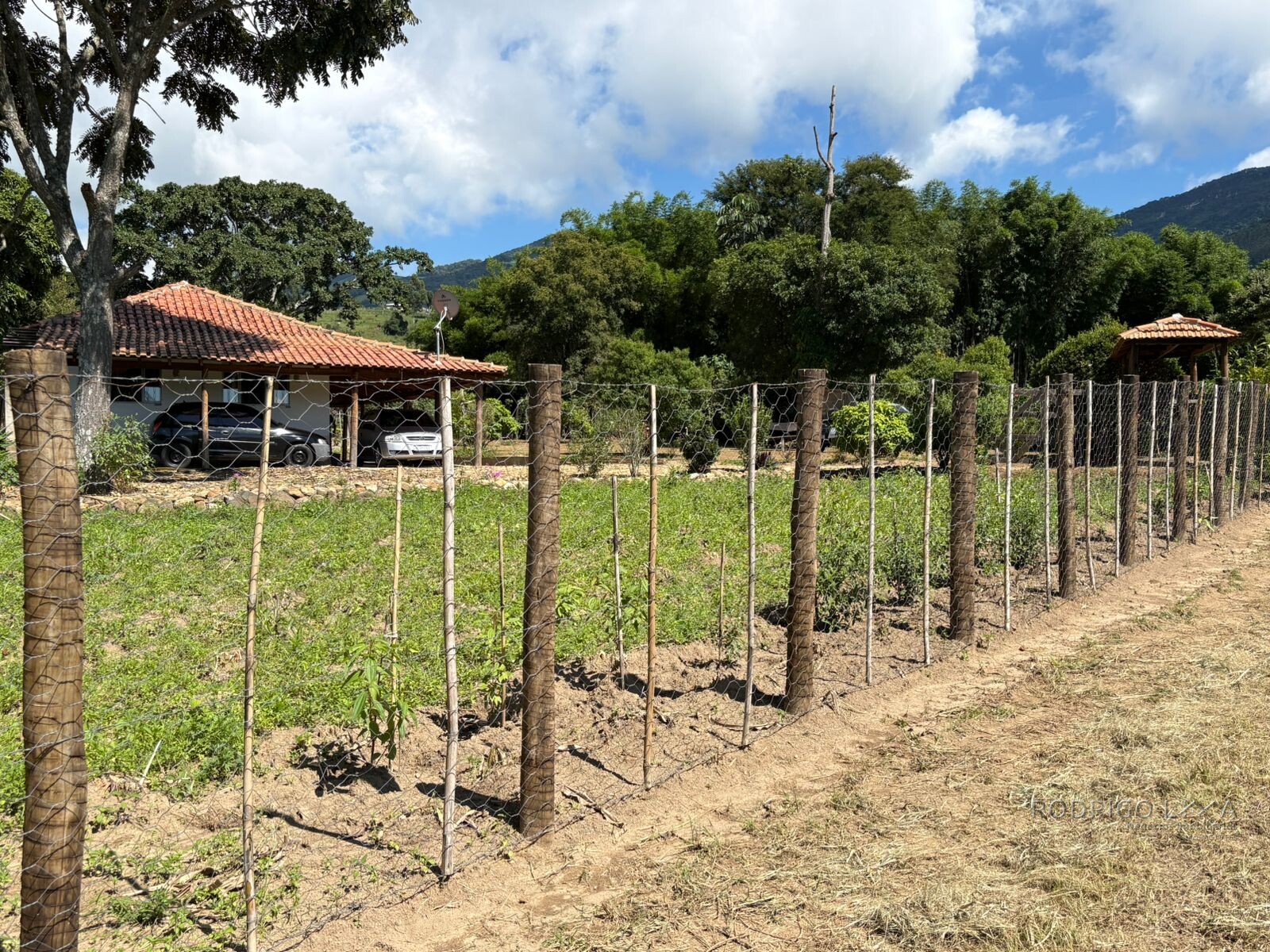 Chácara para venda em Dom Viçoso MG