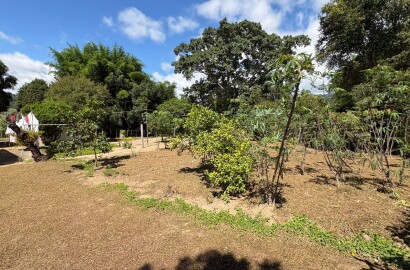 Chácara para venda em Dom Viçoso MG