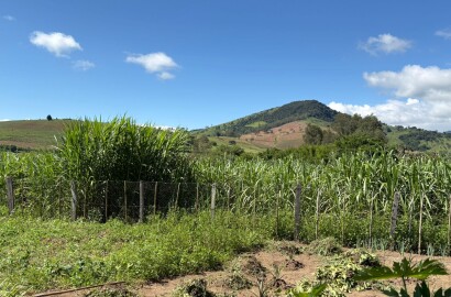 Chácara para venda em Dom Viçoso MG