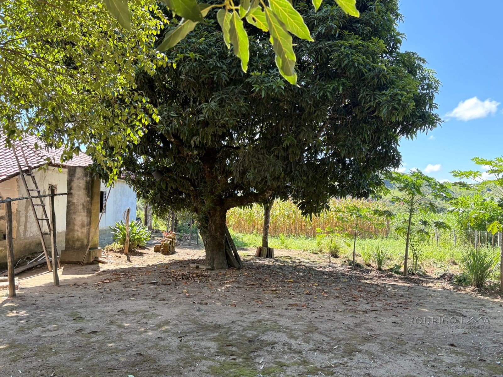 Chácara para venda em Dom Viçoso MG