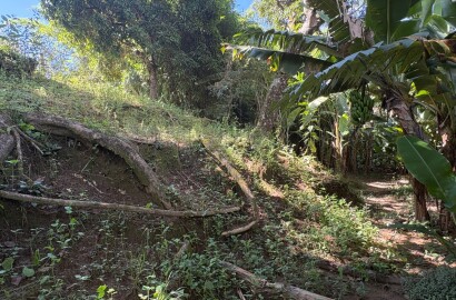Chácara para venda em Dom Viçoso MG