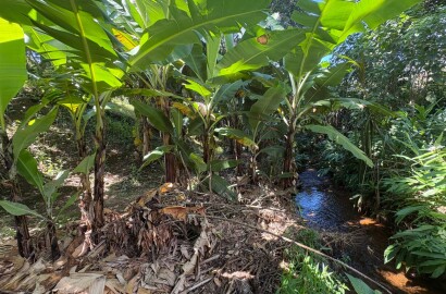 Chácara para venda em Dom Viçoso MG
