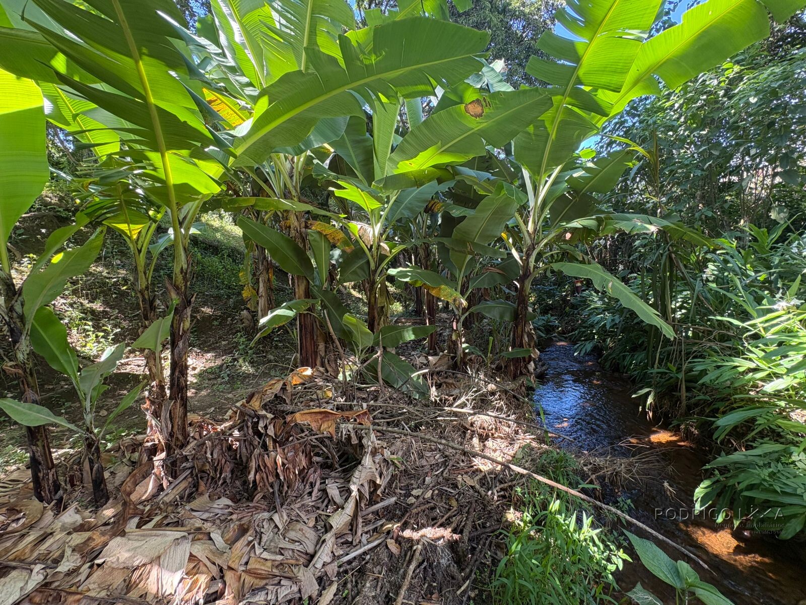 Chácara para venda em Dom Viçoso MG