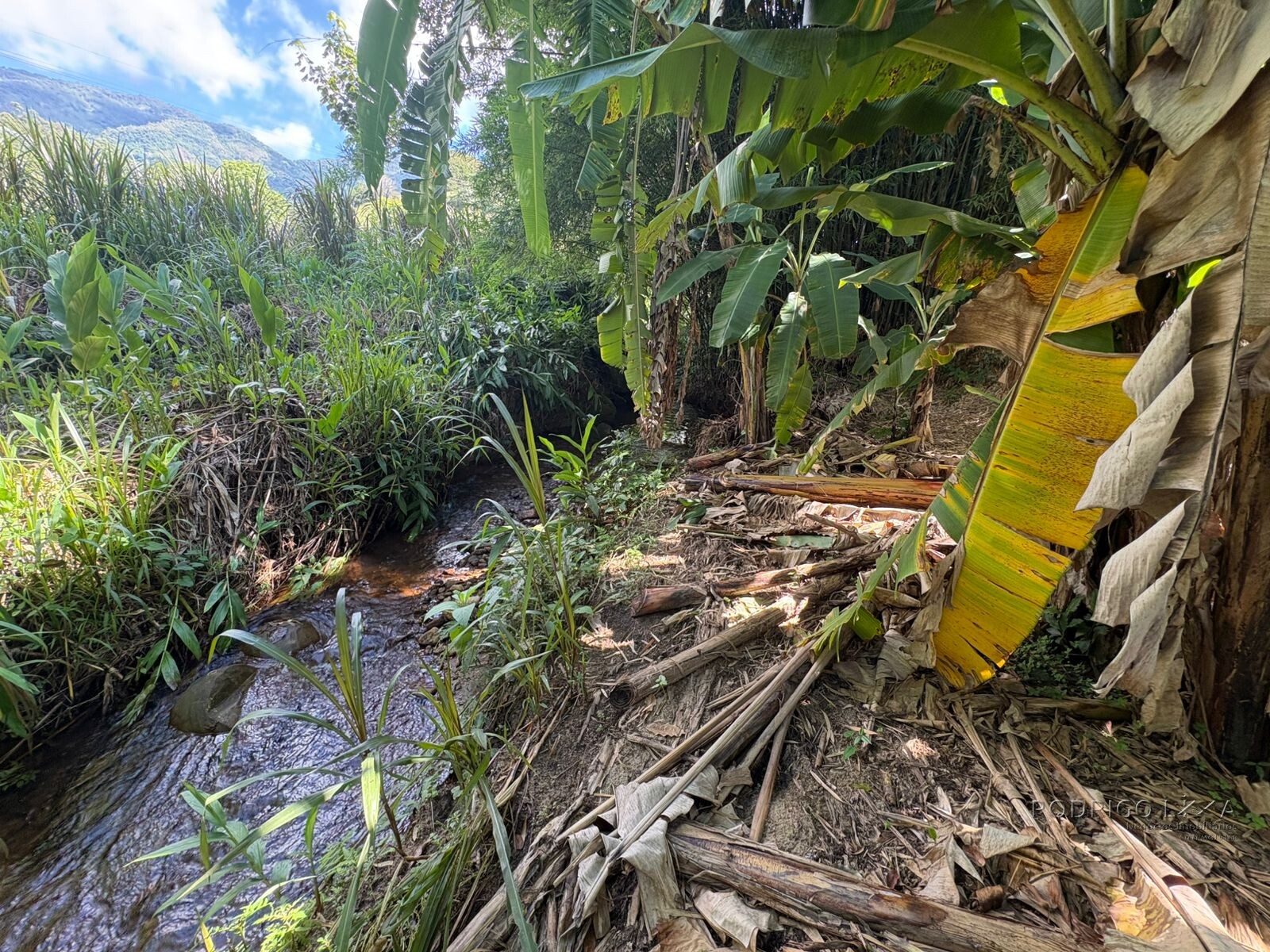 Chácara para venda em Dom Viçoso MG