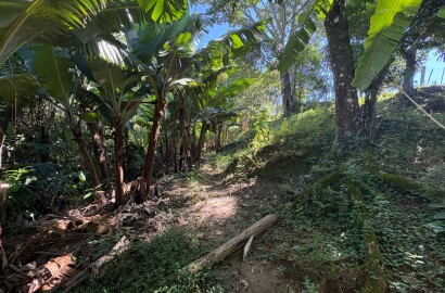 Chácara para venda em Dom Viçoso MG