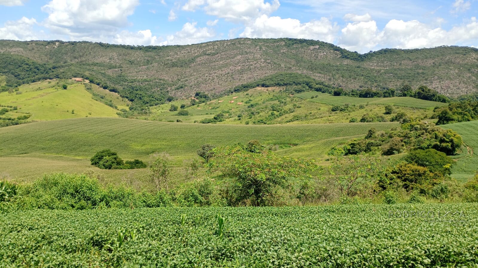 Fazenda para venda em Três Corações MG