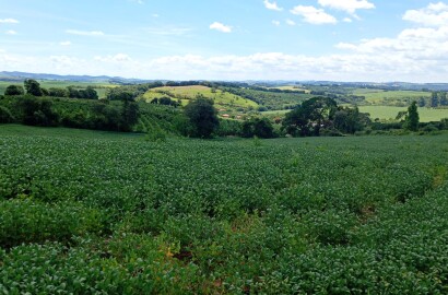 Fazenda para venda em Três Corações MG