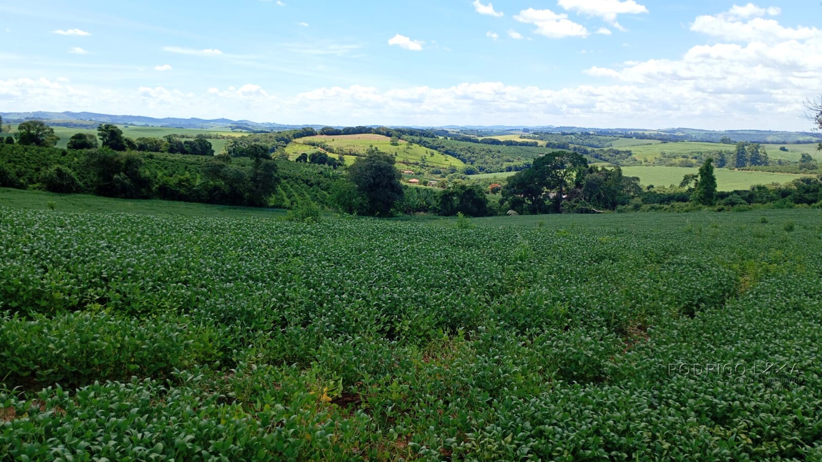 Fazenda para venda em Três Corações MG