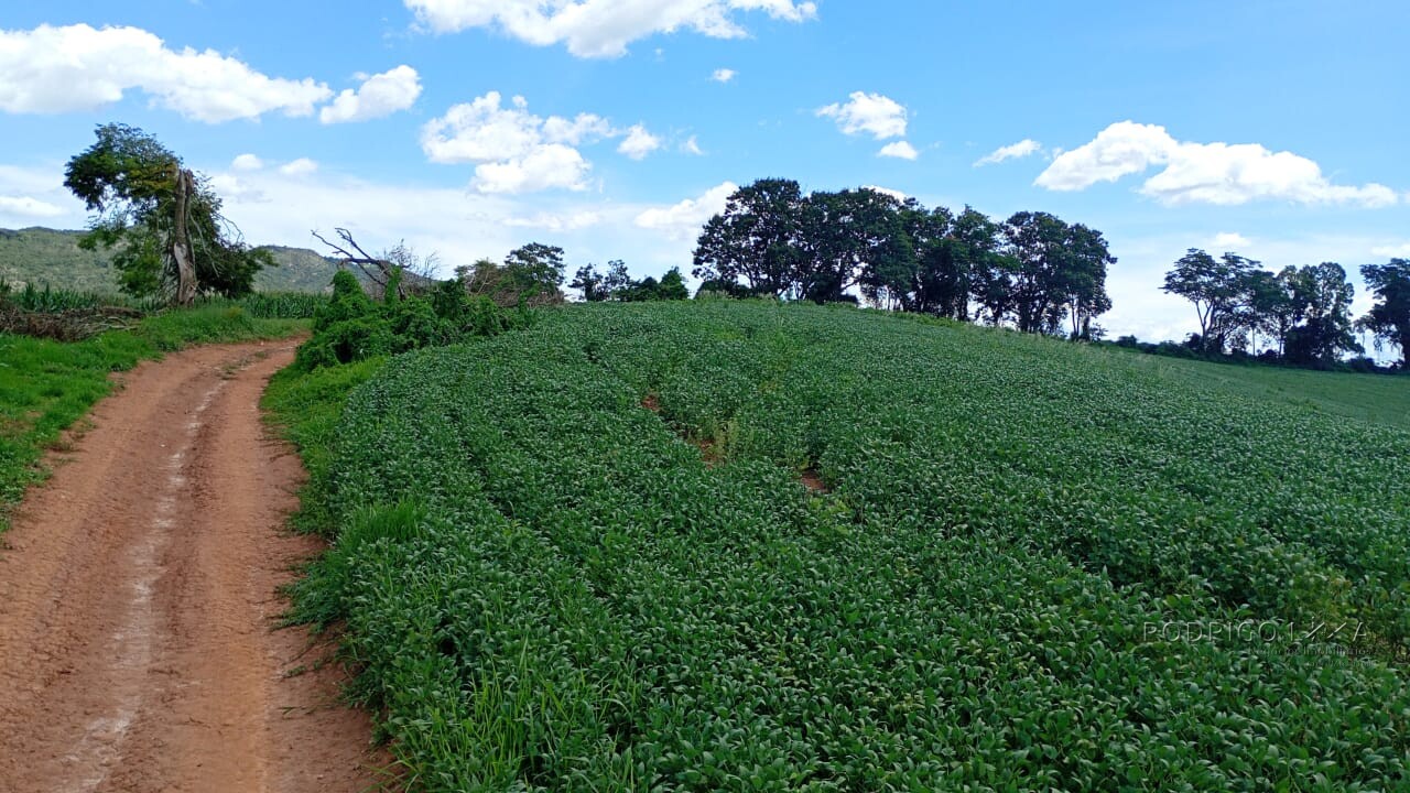 Fazenda para venda em Três Corações MG