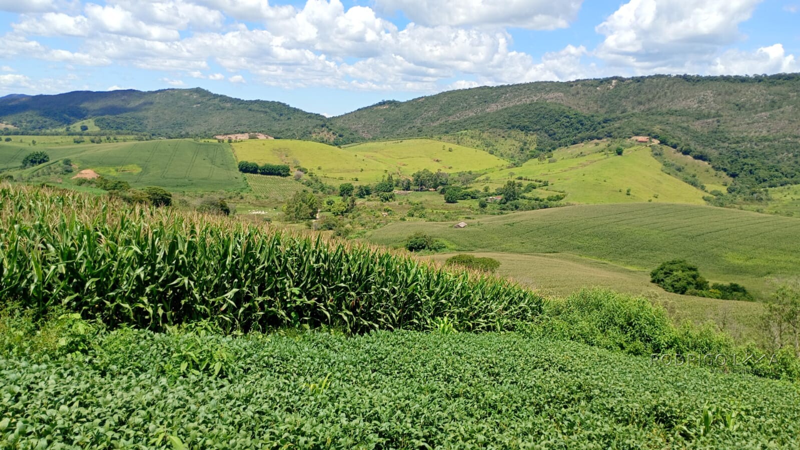 Fazenda para venda em Três Corações MG