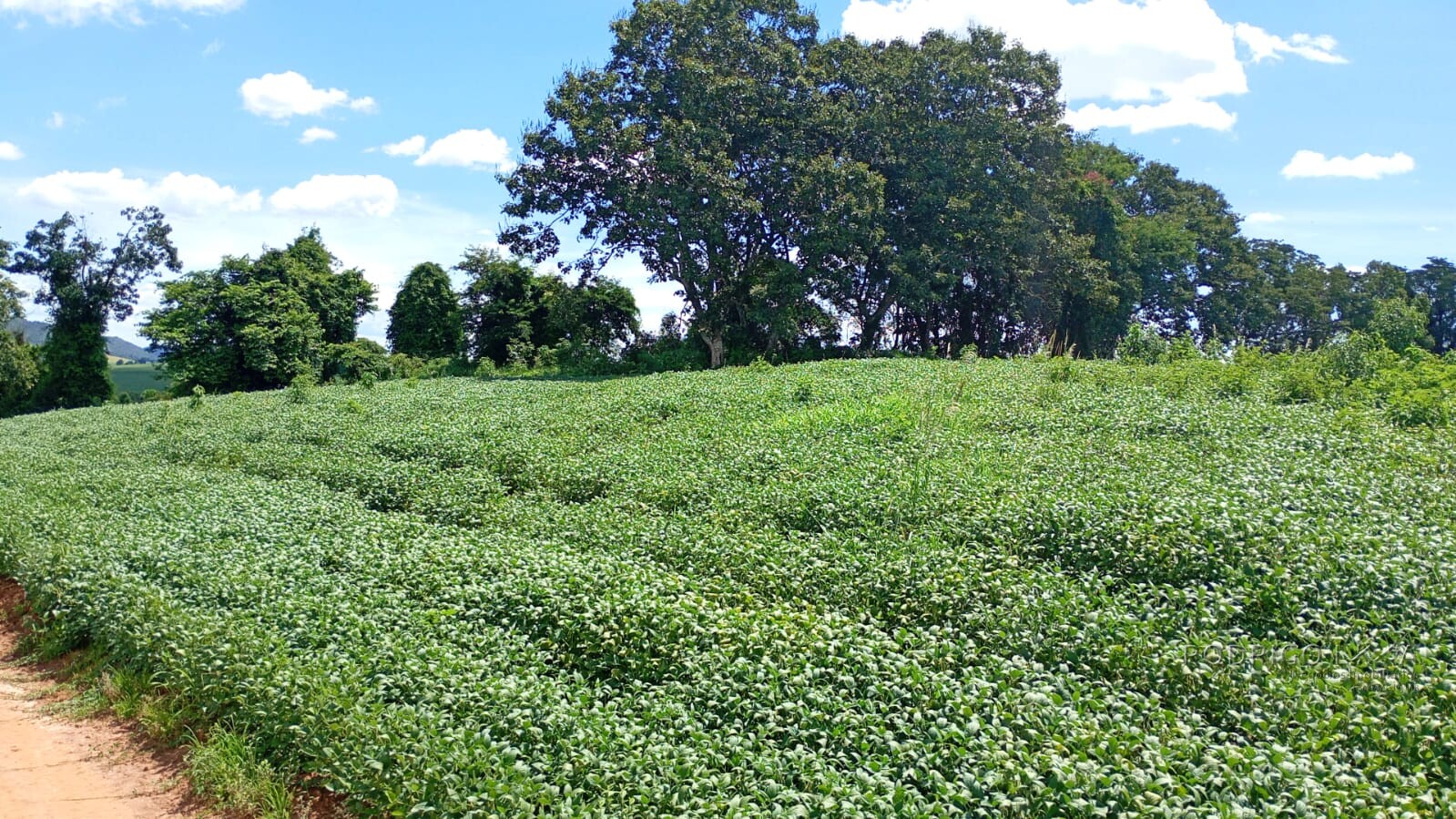 Fazenda para venda em Três Corações MG
