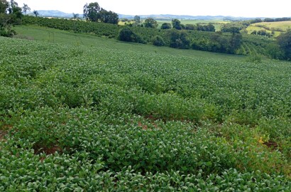 Fazenda para venda em Três Corações MG