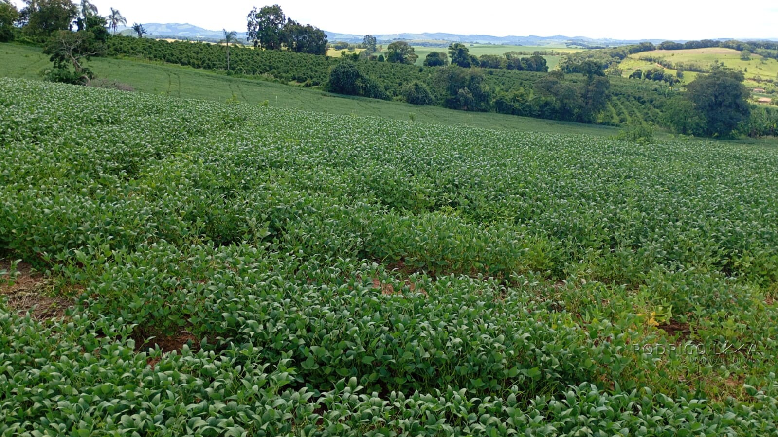 Fazenda para venda em Três Corações MG