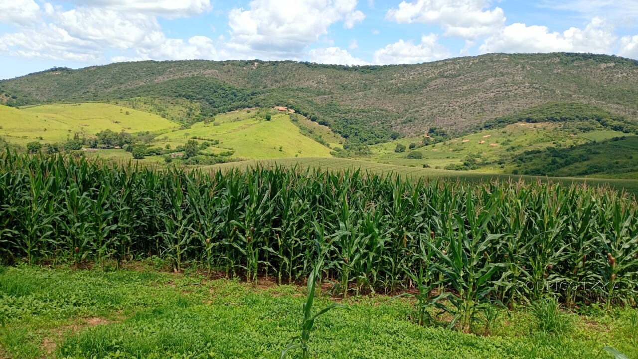 Fazenda para venda em Três Corações MG