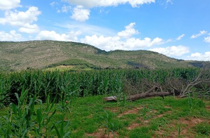 Fazenda para venda em Três Corações MG