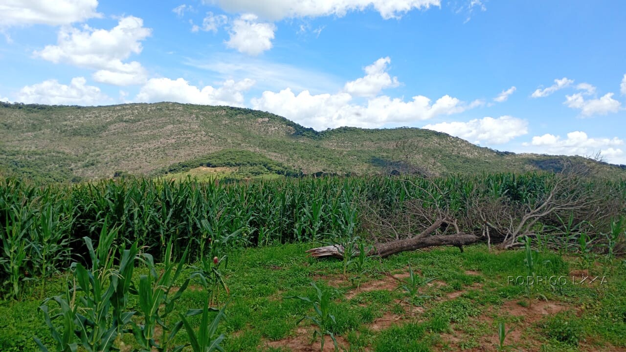 Fazenda para venda em Três Corações MG