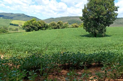 Fazenda para venda em Três Corações MG