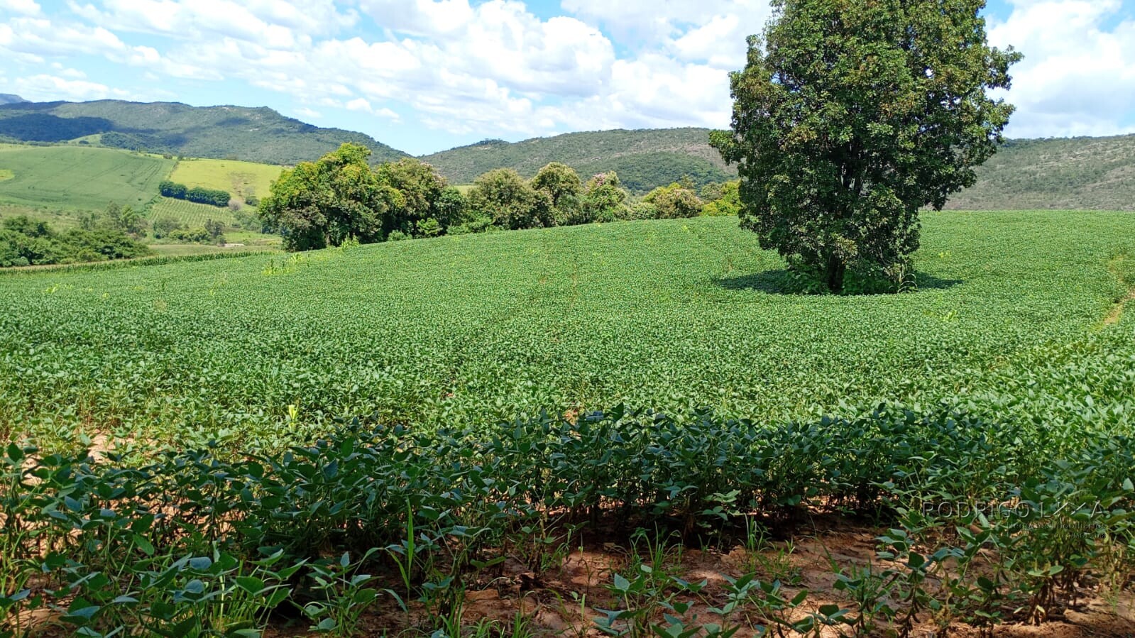 Fazenda para venda em Três Corações MG