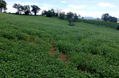 Fazenda para venda em Três Corações MG