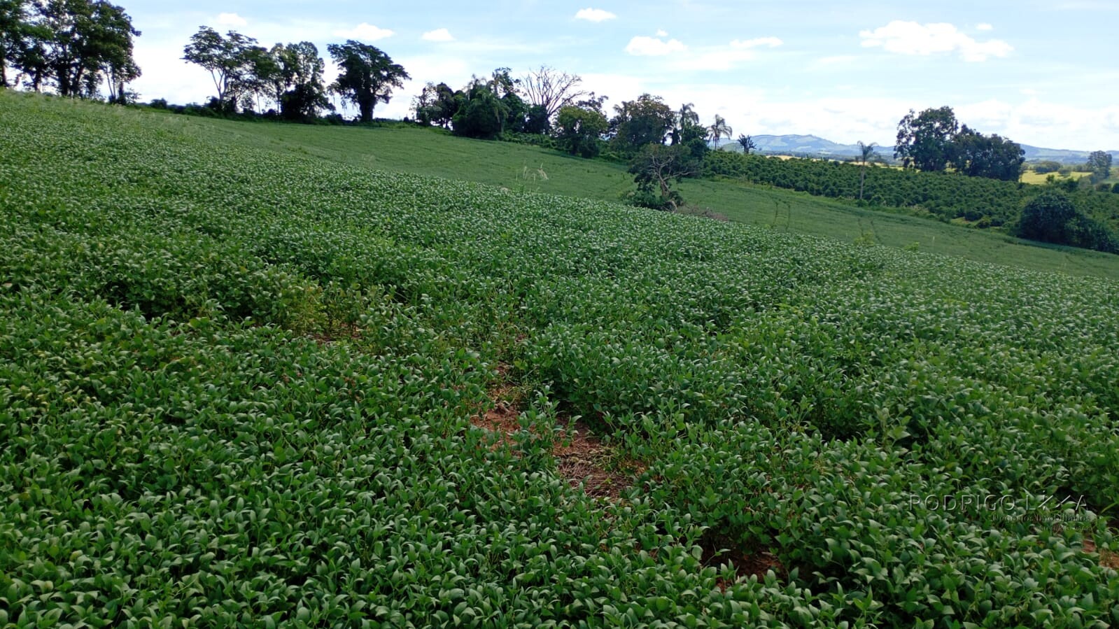 Fazenda para venda em Três Corações MG