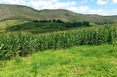 Fazenda para venda em Três Corações MG