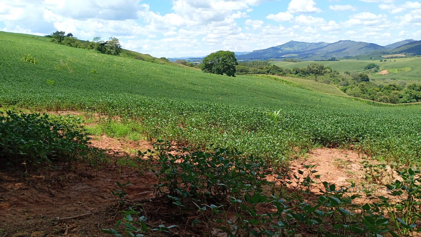 Fazenda para venda em Três Corações MG