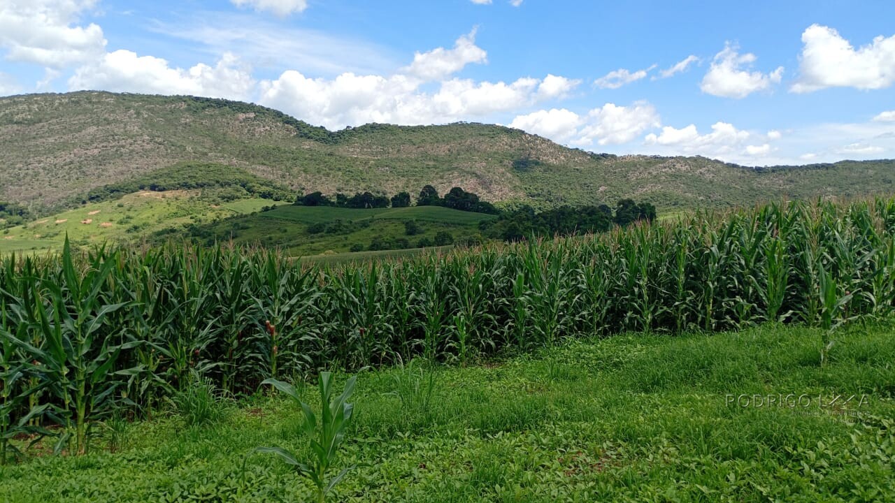 Fazenda para venda em Três Corações MG