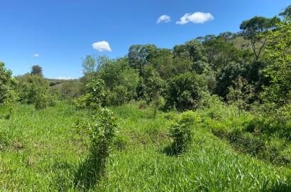 Ótima área rural para venda em Dom Viçoso MG