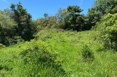 Ótima área rural para venda em Dom Viçoso MG