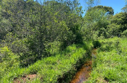 Ótima área rural para venda em Dom Viçoso MG