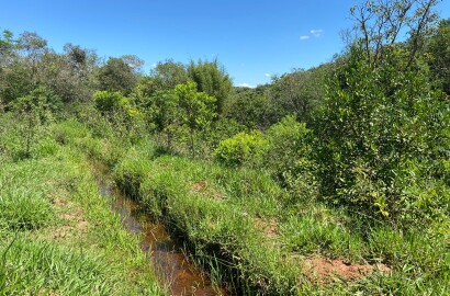 Ótima área rural para venda em Dom Viçoso MG