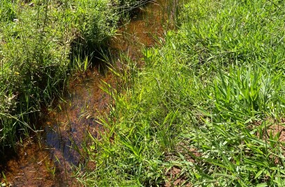 Ótima área rural para venda em Dom Viçoso MG