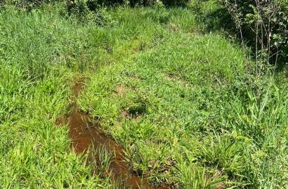 Ótima área rural para venda em Dom Viçoso MG