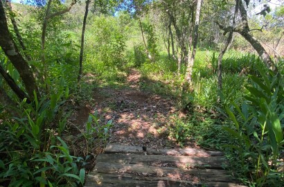 Ótima área rural para venda em Dom Viçoso MG