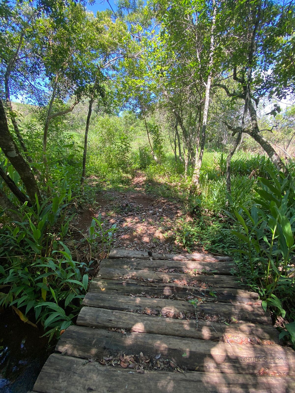 Ótima área rural para venda em Dom Viçoso MG