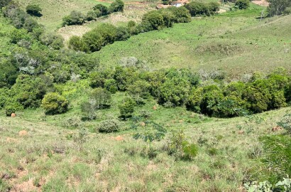 Ótima área rural para venda em Dom Viçoso MG