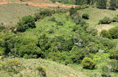 Ótima área rural para venda em Dom Viçoso MG