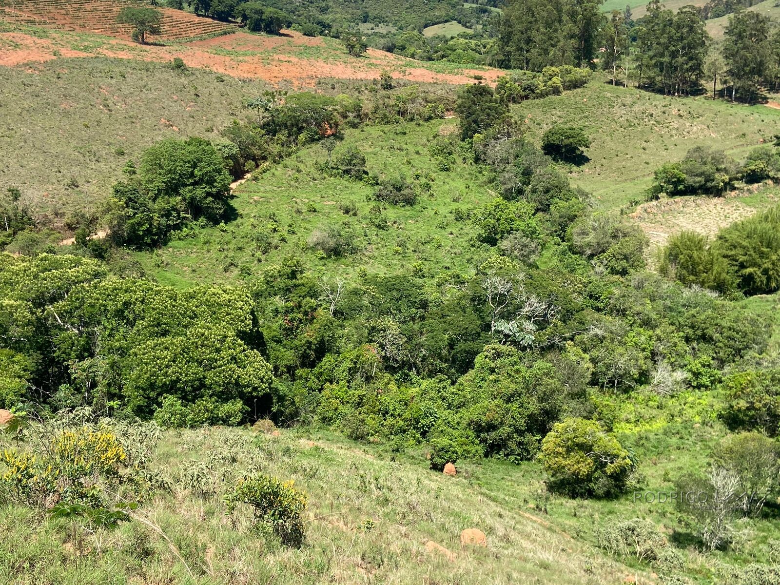 Ótima área rural para venda em Dom Viçoso MG