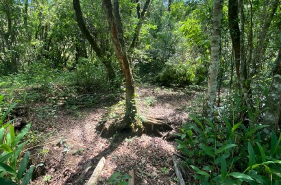 Ótima área rural para venda em Dom Viçoso MG