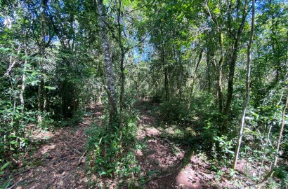 Ótima área rural para venda em Dom Viçoso MG